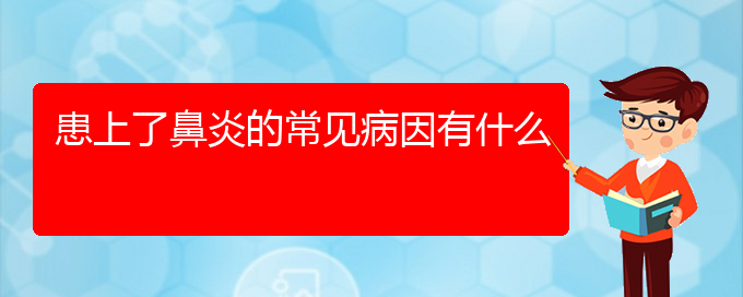 (贵阳治疗鼻炎那家医院比较好)患上了鼻炎的常见病因有什么(图1)