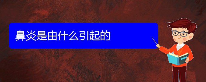 (贵阳治疗鼻炎选哪家医院好)鼻炎是由什么引起的(图1)