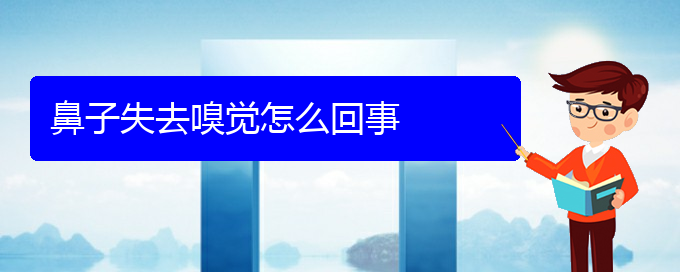 (贵阳治疗慢性鼻炎的好医院)鼻子失去嗅觉怎么回事(图1)