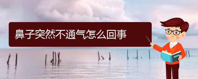 (贵阳慢性鼻炎看中医还是西医)鼻子突然不通气怎么回事(图1)