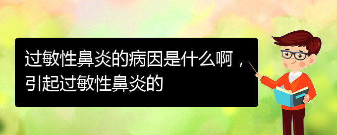 (贵州什么医院治疗过敏性鼻炎)过敏性鼻炎的病因是什么啊，引起过敏性鼻炎的(图1)