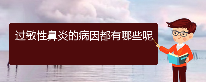 (贵阳哪个医院治过敏性鼻炎好)过敏性鼻炎的病因都有哪些呢(图1)