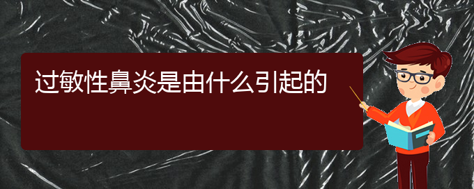 (贵阳治过敏性鼻炎到哪个医院)过敏性鼻炎是由什么引起的(图1)