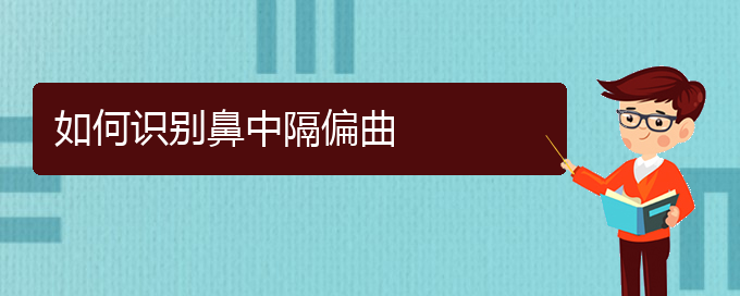 (贵阳哪个地方医院看鼻中隔偏曲)如何识别鼻中隔偏曲(图1)