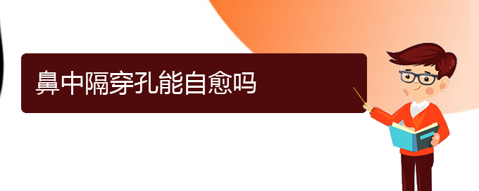 (贵阳哪看鼻中隔偏曲好)鼻中隔穿孔能自愈吗(图1)