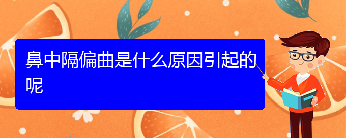 (贵阳专治鼻中隔偏曲医院)鼻中隔偏曲是什么原因引起的呢(图1)