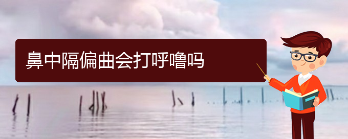 (贵阳看鼻中隔偏曲哪家好)鼻中隔偏曲会打呼噜吗(图1)