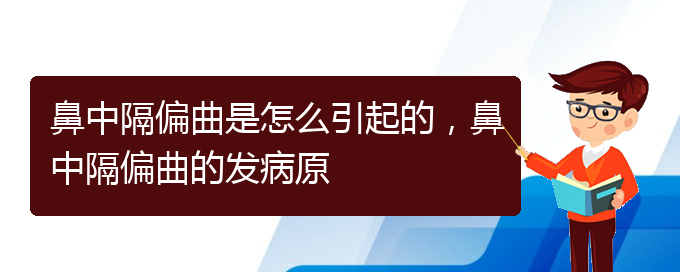 (贵阳一般看鼻中隔偏曲多少钱)鼻中隔偏曲是怎么引起的，鼻中隔偏曲的发病原(图1)