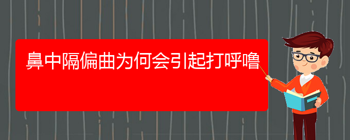 (贵阳哪治疗鼻中隔偏曲好)鼻中隔偏曲为何会引起打呼噜(图1)