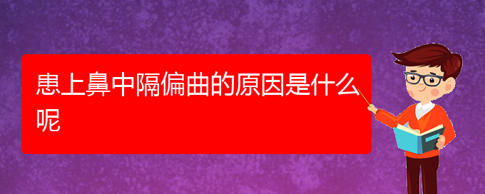 (贵阳治疗鼻中隔偏曲去哪家医院好)患上鼻中隔偏曲的原因是什么呢(图1)