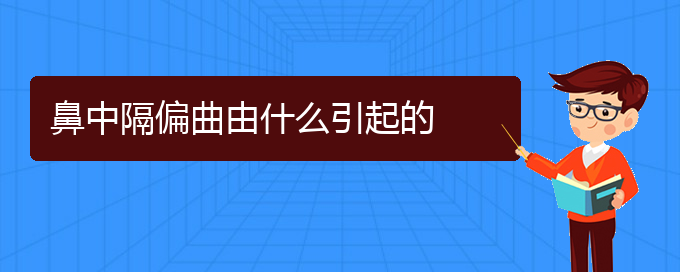 (贵阳铭仁看鼻中隔偏曲怎么样)鼻中隔偏曲由什么引起的(图1)
