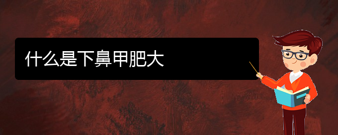 (贵阳鼻科医院挂号)什么是下鼻甲肥大(图1)