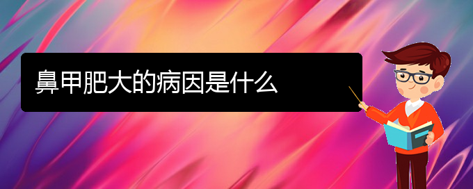(贵阳治疗鼻甲肥大要多少钱)鼻甲肥大的病因是什么(图1)