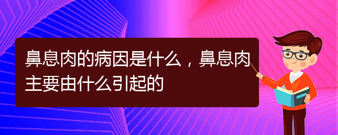 (贵阳鼻息肉治疗哪家好)鼻息肉的病因是什么，鼻息肉主要由什么引起的(图1)