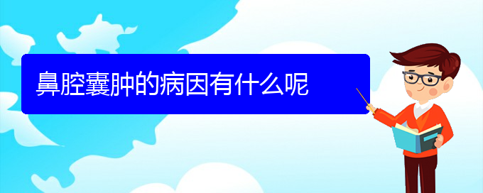(贵阳看鼻腔乳头状瘤有那些方法)鼻腔囊肿的病因有什么呢(图1)