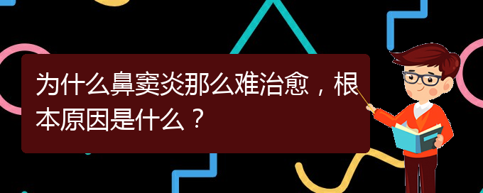 (贵阳治疗鼻窦炎要多少费用)为什么鼻窦炎那么难治愈，根本原因是什么？(图1)