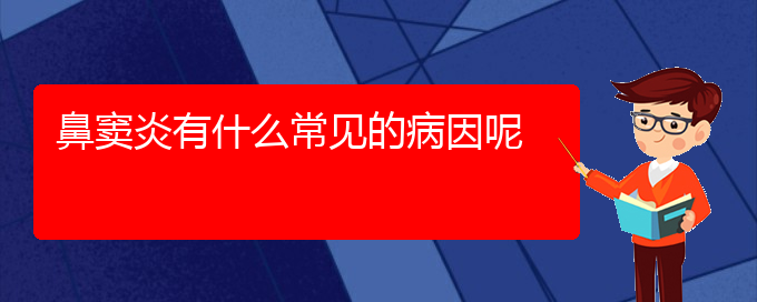 (贵阳治鼻窦炎最好的医院在哪里)鼻窦炎有什么常见的病因呢(图1)