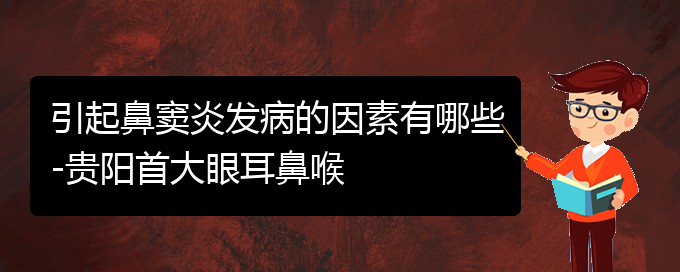 (贵阳治疗鼻窦炎的专业医院)引起鼻窦炎发病的因素有哪些-贵阳首大眼耳鼻喉(图1)