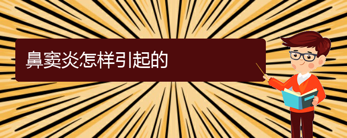 (贵阳鼻窦炎应该怎么治疗)鼻窦炎怎样引起的(图1)