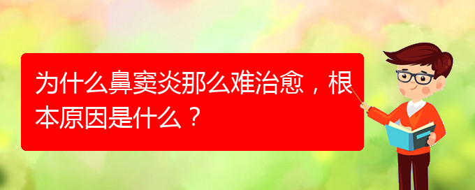 (贵阳治疗鼻窦炎要多少费用)为什么鼻窦炎那么难治愈，根本原因是什么？(图1)