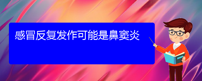 (贵阳治疗鼻窦炎能够彻底的地方)感冒反复发作可能是鼻窦炎(图1)