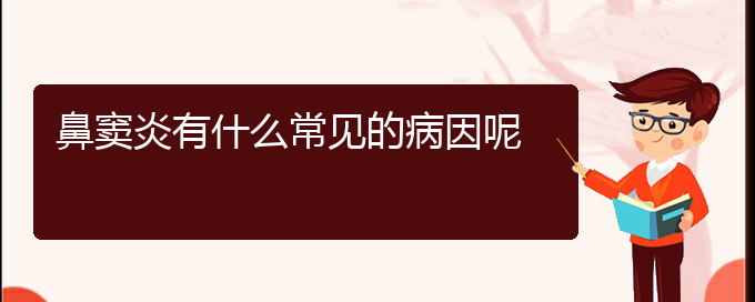 (贵阳治鼻窦炎最好的医院在哪里)鼻窦炎有什么常见的病因呢(图1)