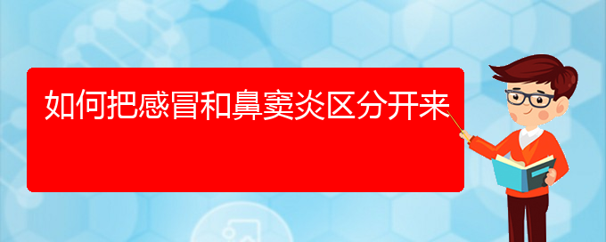 (治疗鼻窦炎贵阳那家医院好)如何把感冒和鼻窦炎区分开来(图1)