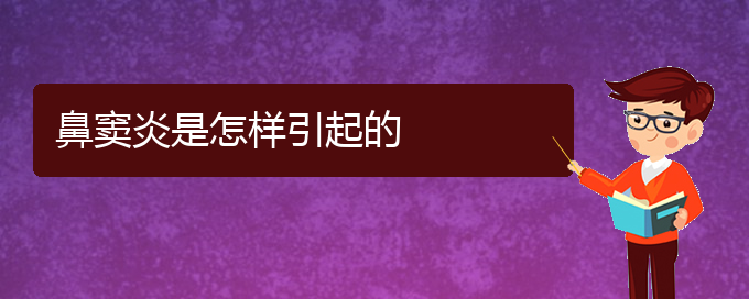 (贵阳附近那个医院看鼻窦炎好)鼻窦炎是怎样引起的(图1)