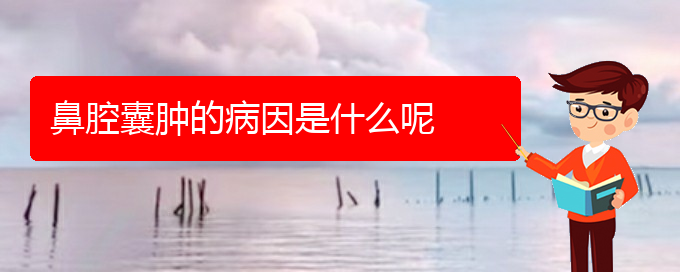 (贵阳哪个医院看鼻腔肿瘤)鼻腔囊肿的病因是什么呢(图1)
