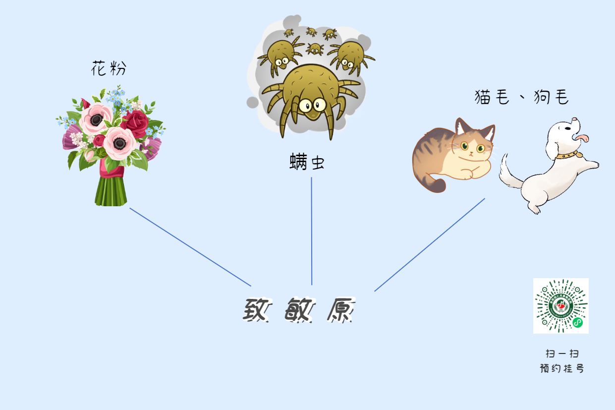 三八妇女节|呵护鼻敏感的她，控制过敏性鼻炎(图2)