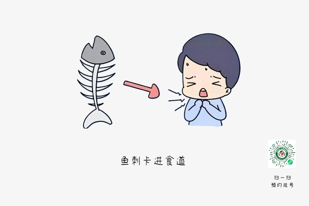 喉咙卡鱼刺？喝醋吞饭都是致命错误(图1)